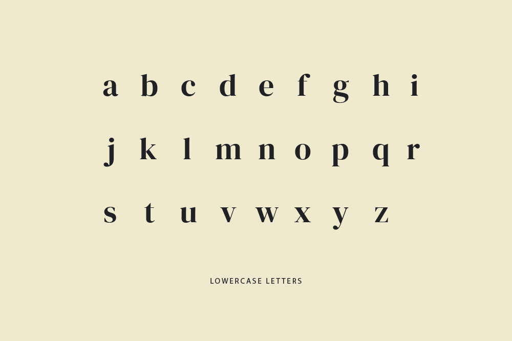 DM Serif Display Font