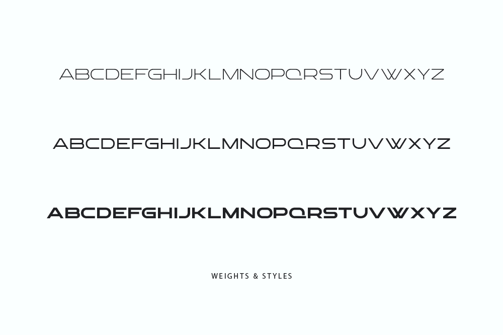 Logotype Font Weights