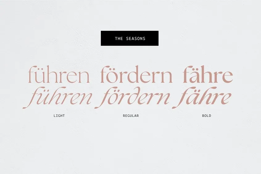 the seasons bold font free download
